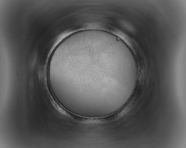X0000085051094200703051411