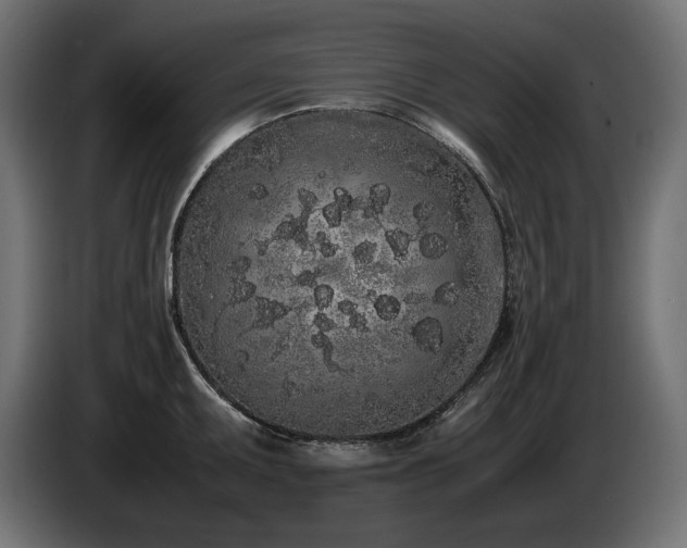 X0000085051095200703051411