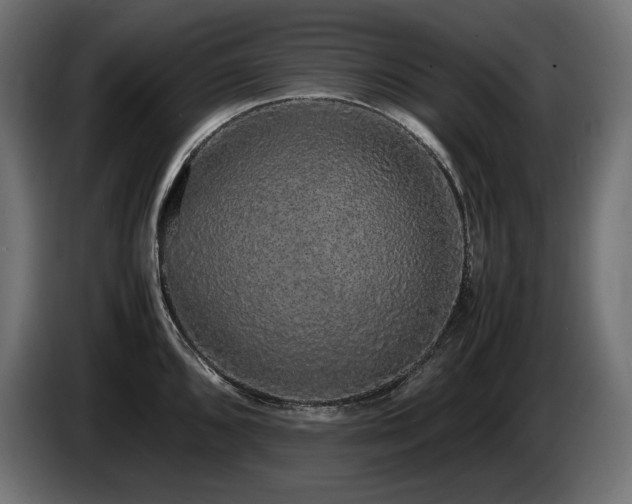 X0000085051096200703051411