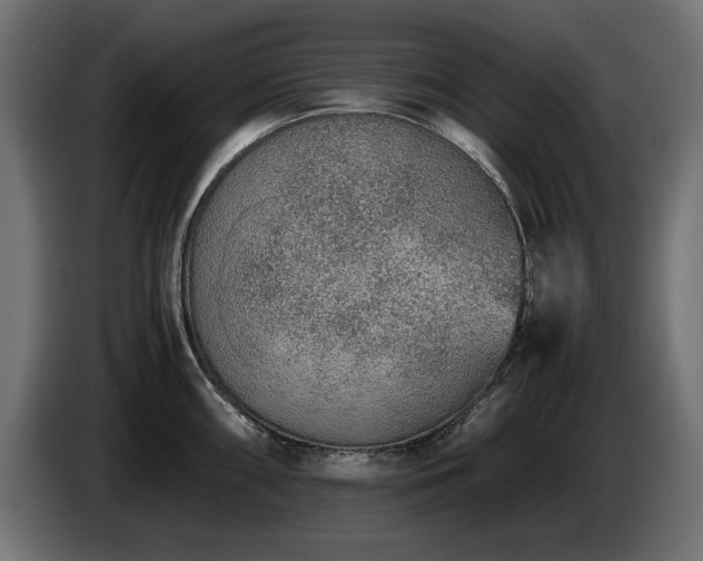 X0000085051098200703051411