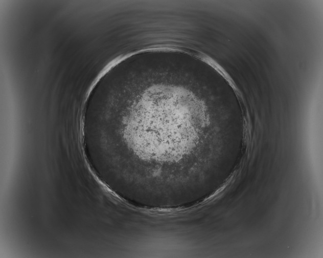 X0000085051101200703051411