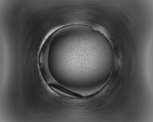 X0000085051102200703051411