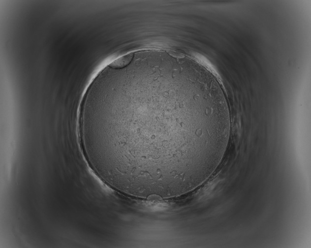 X0000085051103200703051411