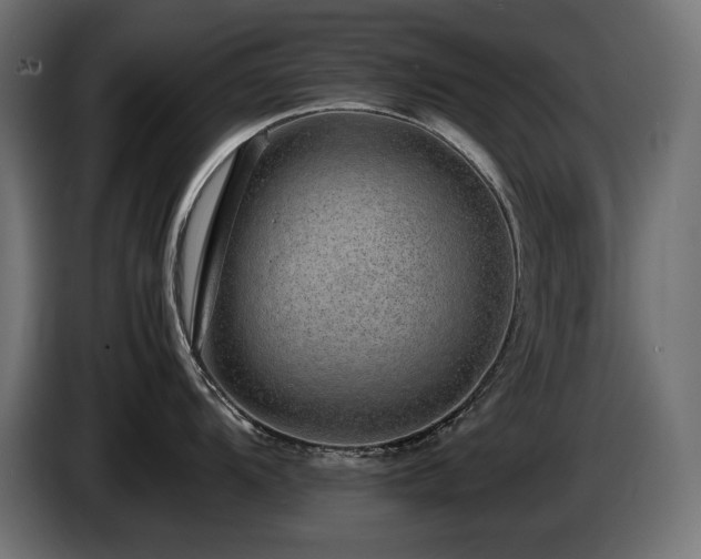 X0000085051104200703051411