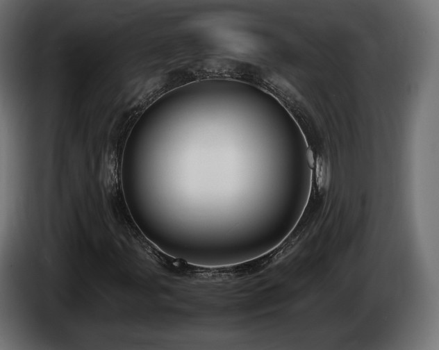 X0000085051107200703051410