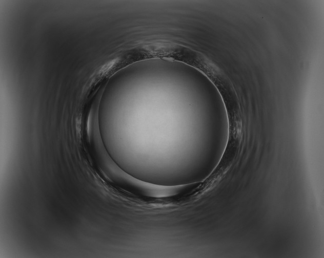 X0000085051108200703051410