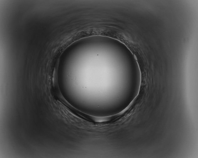 X0000085051109200703051410