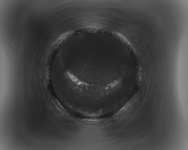 X0000085051110200703051410