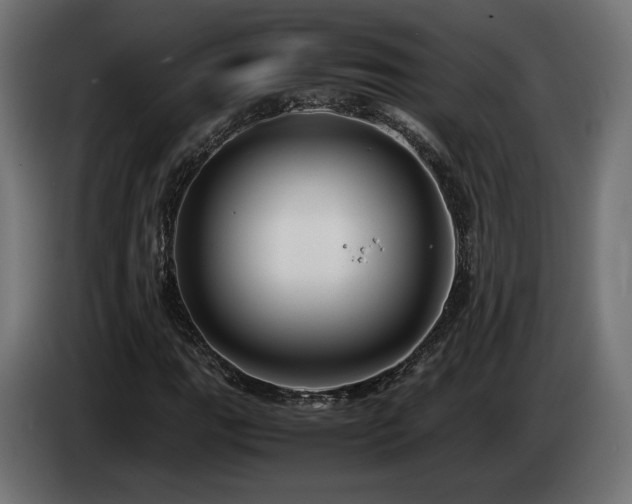 X0000085051111200703051410