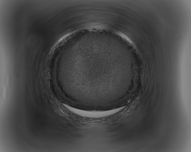 X0000085051112200703051410