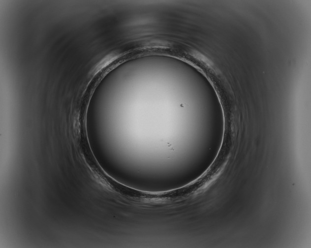 X0000085051113200703051410