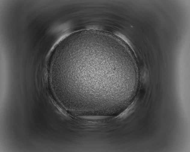 X0000085051115200703051410