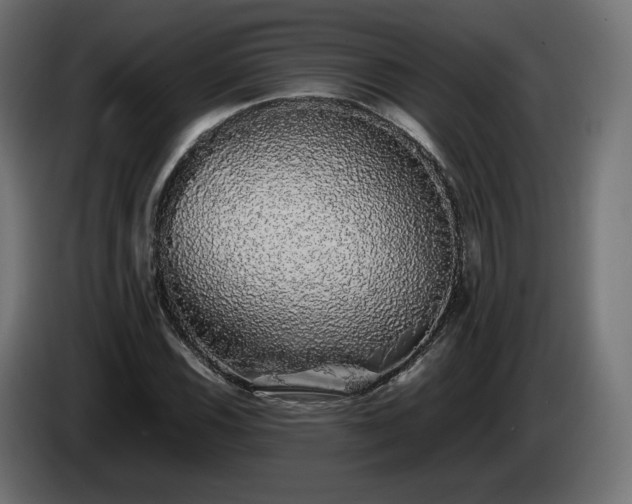 X0000085051116200703051410