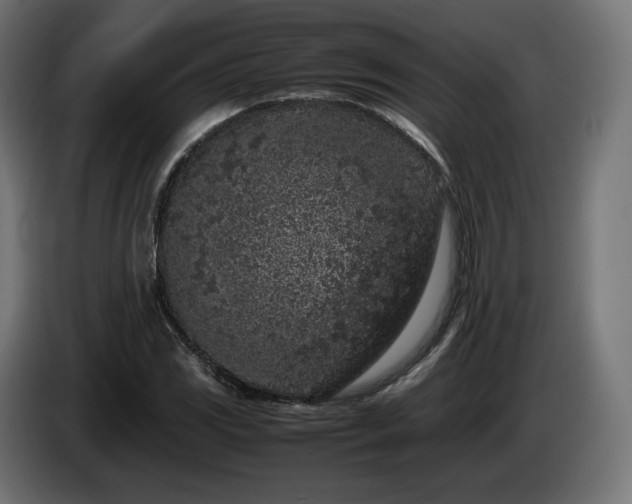 X0000085051117200703051410
