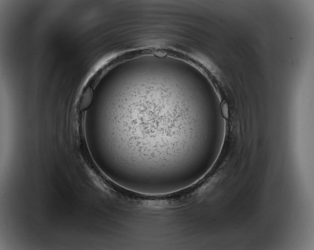 X0000085051118200703051410