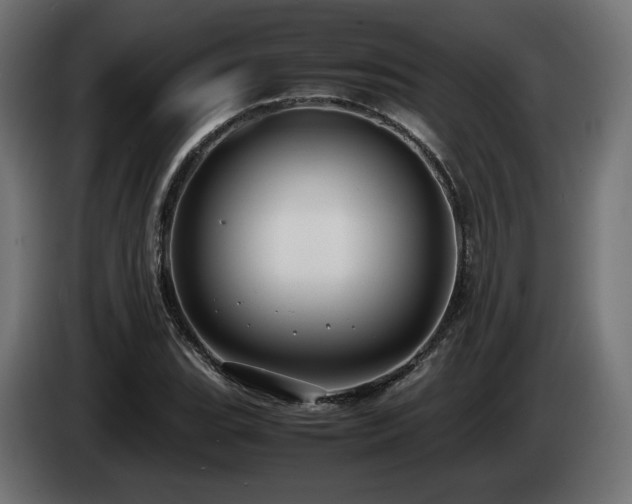 X0000085051119200703051410