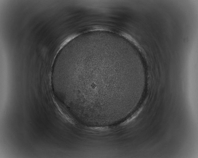 X0000085051121200703051410