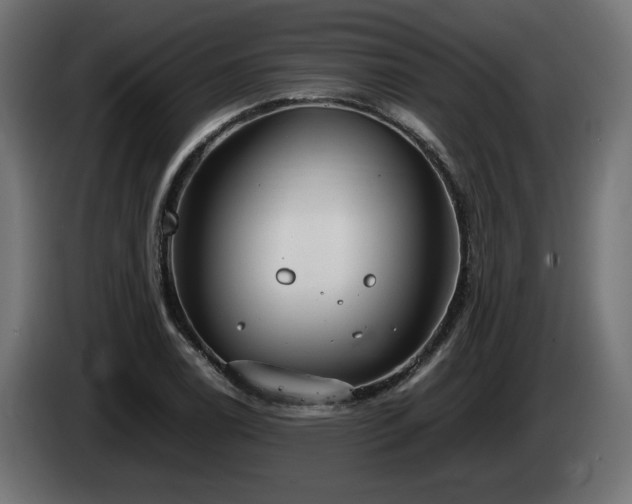 X0000085051122200703051410