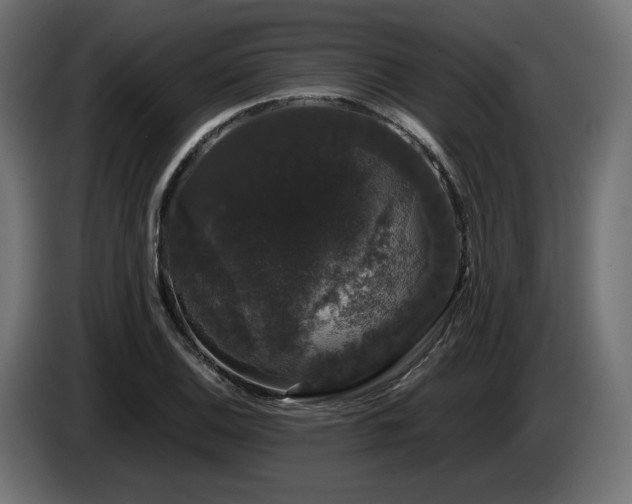 X0000085051124200703051411