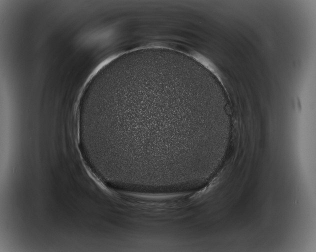 X0000085051127200703051411