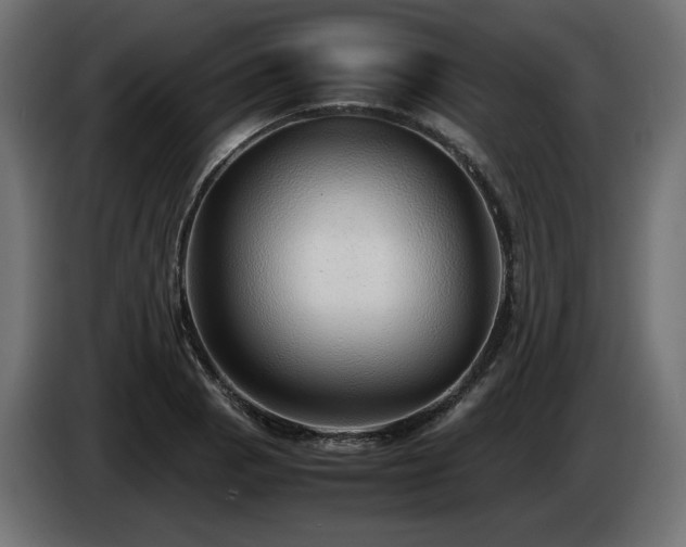 X0000085051129200703051411