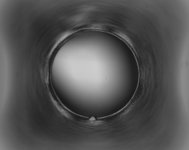 X0000085051131200703051411