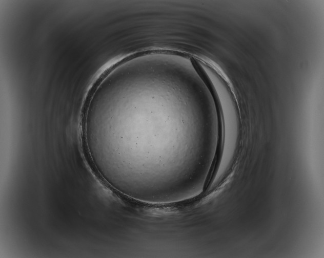 X0000085051133200703051411