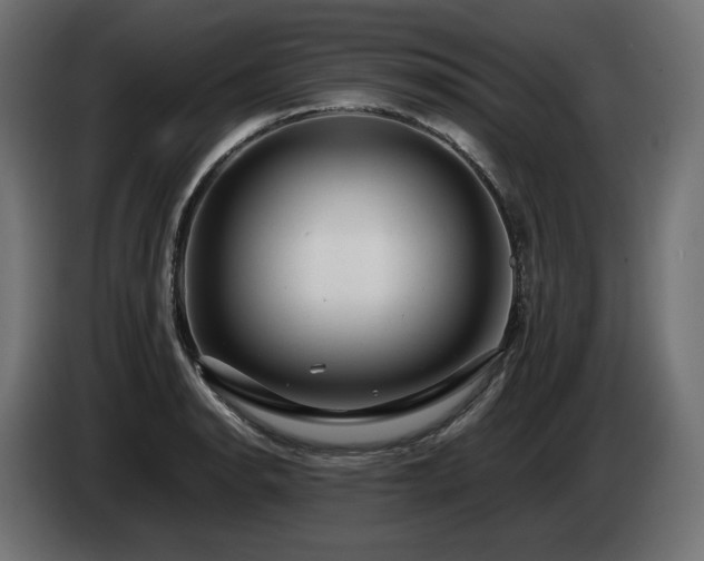 X0000085051134200703051411