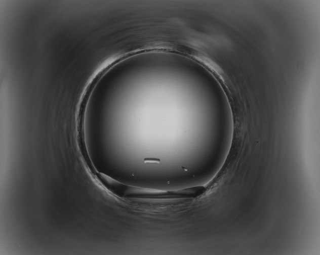 X0000085051135200703051411
