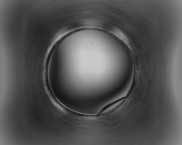 X0000085051136200703051411