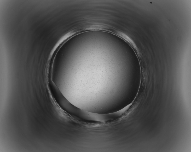 X0000085051138200703051411