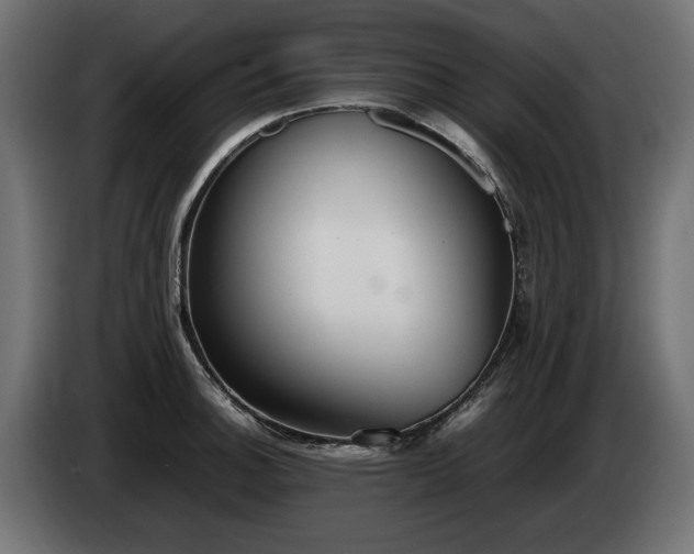 X0000085051140200703051411
