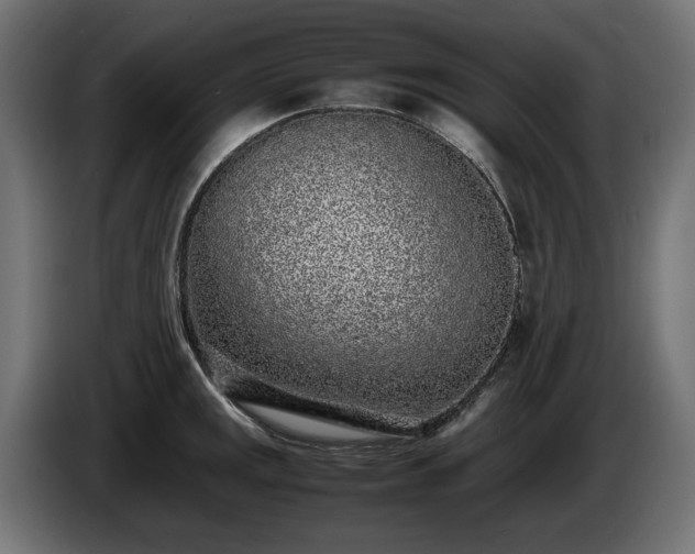 X0000085051141200703051411