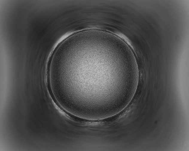 X0000085051143200703051411