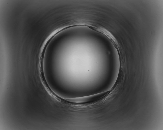 X0000085051144200703051411
