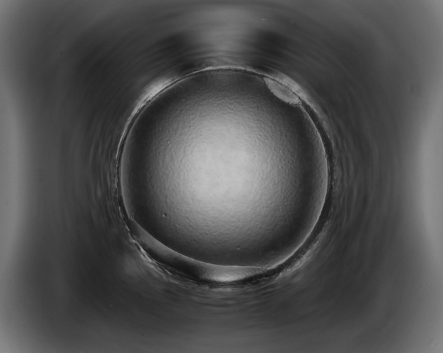 X0000085051145200703051411