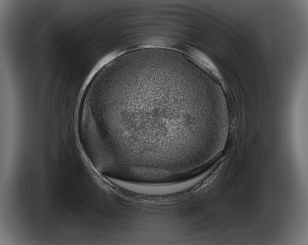 X0000085051146200703051411