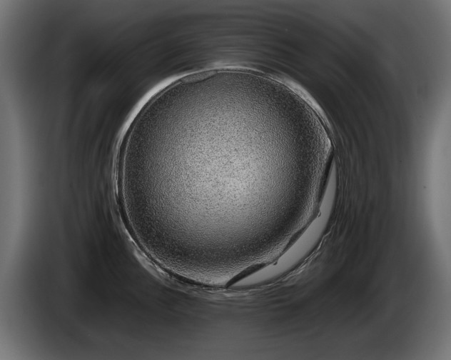 X0000085051148200703051411