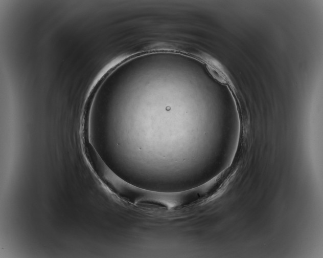 X0000085051149200703051411
