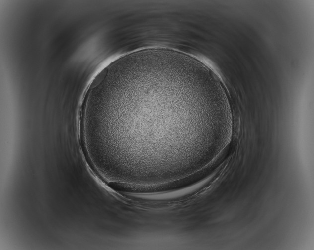 X0000085051151200703051411