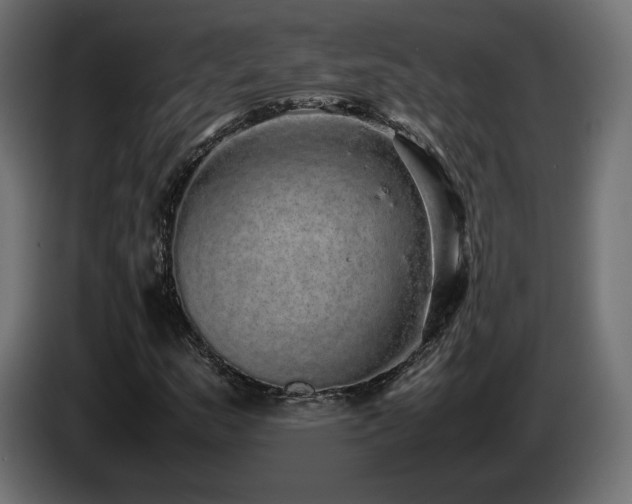 X0000085051159200703051410