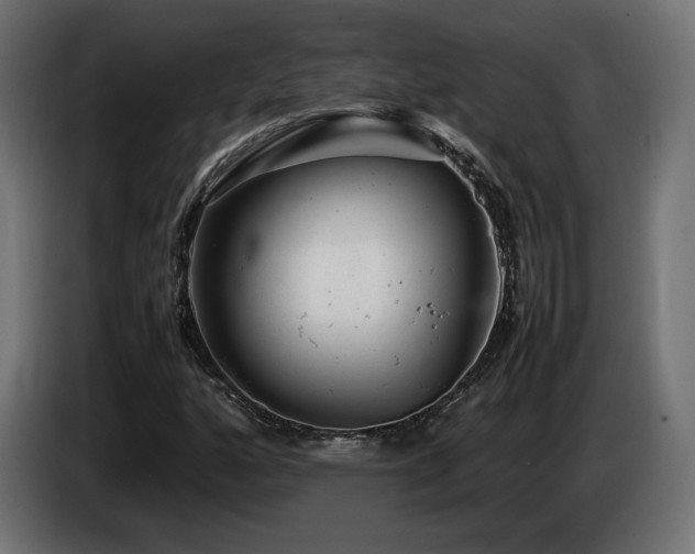 X0000085051160200703051410