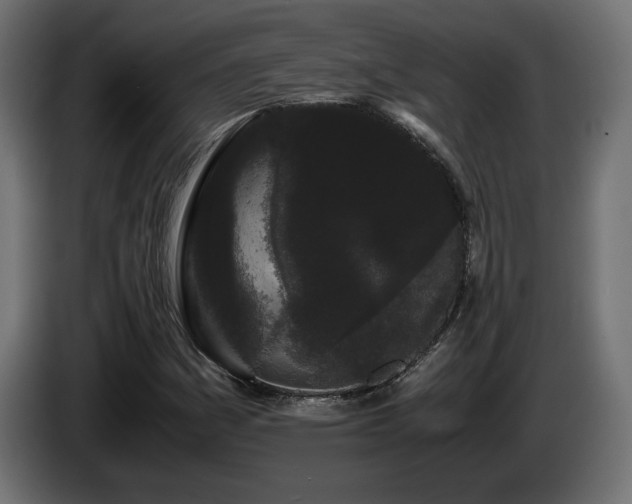 X0000085051161200703051410