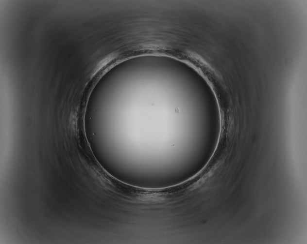 X0000085051162200703051410