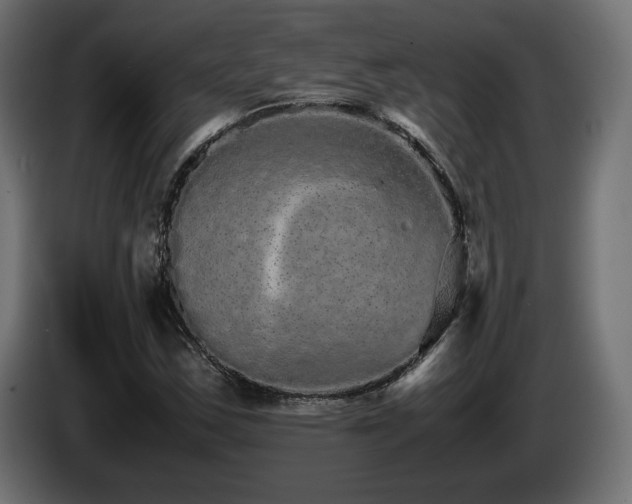 X0000085051163200703051410