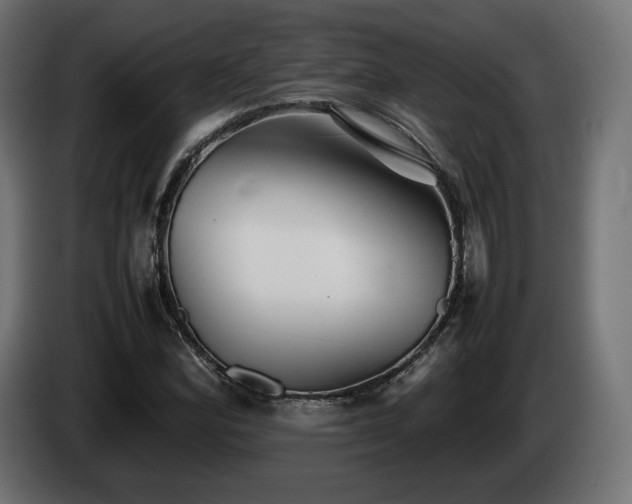 X0000085051164200703051410