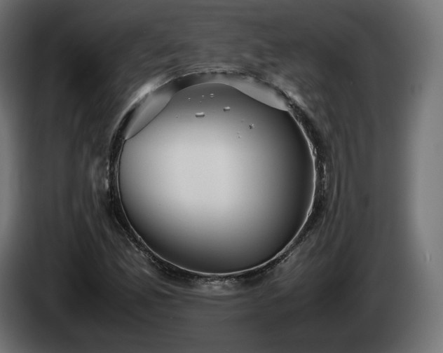 X0000085051165200703051410