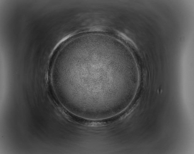 X0000085051166200703051410