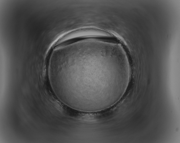 X0000085051167200703051410