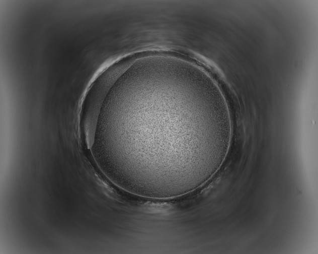 X0000085051168200703051410